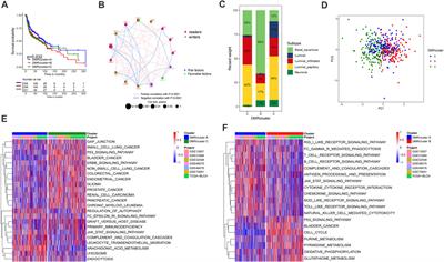 DNA Methylation Modification Map to Predict Tumor Molecular Subtypes and Efficacy of Immunotherapy in Bladder Cancer